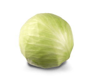 White cabbage